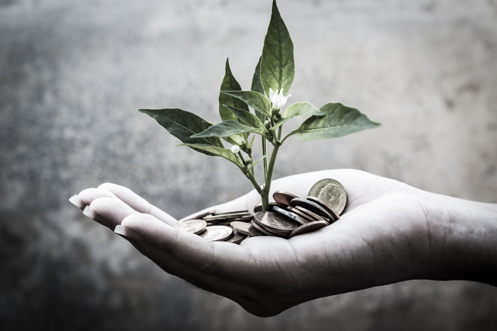merchant-cash-advance